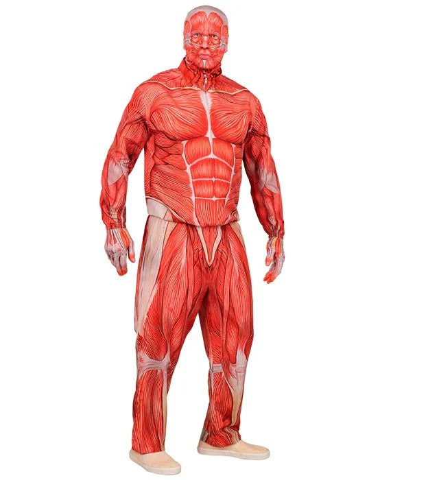 ANATOMIE KOSTUUM - Image 4