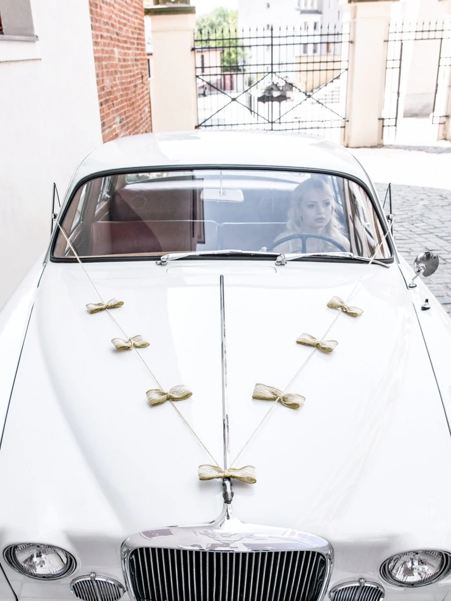 Auto Decoratie Set Bruiloft Strikjes - Image 9