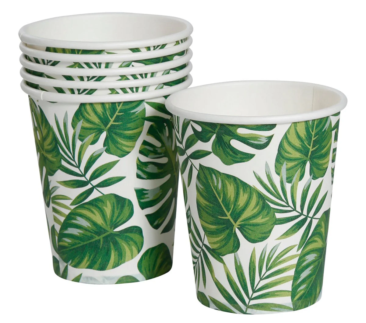Bekers Palmbladeren 240ml 6st - Image 4