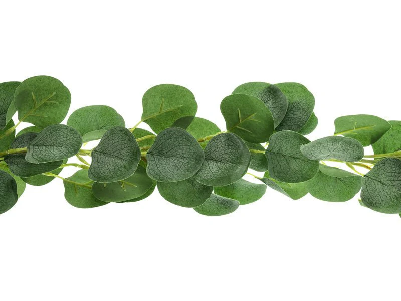 Decoratie Eucalyptus 1,8m - Image 2