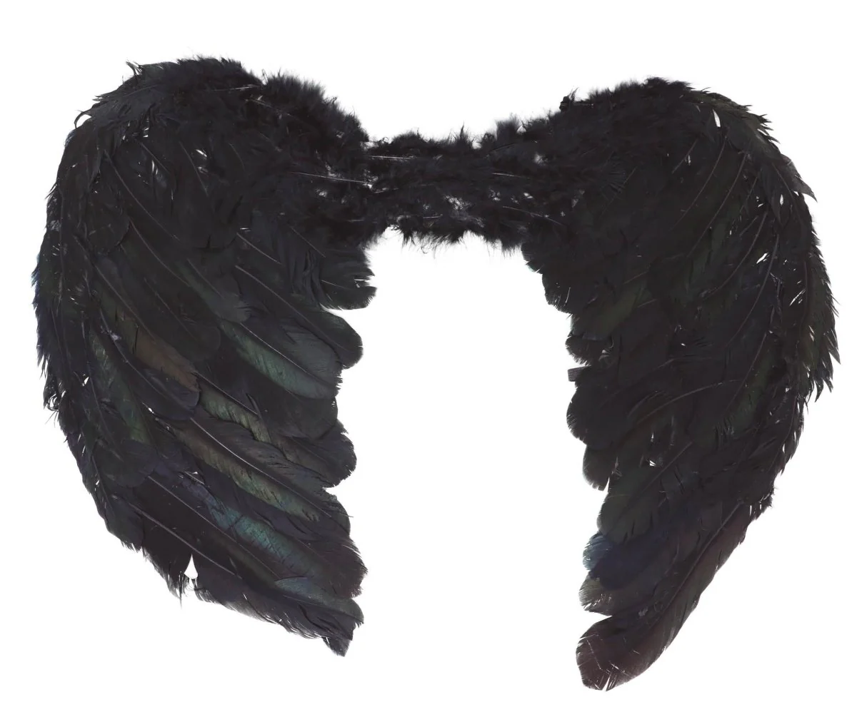 Engelen Vleugels Zwart 60cm - Image 3