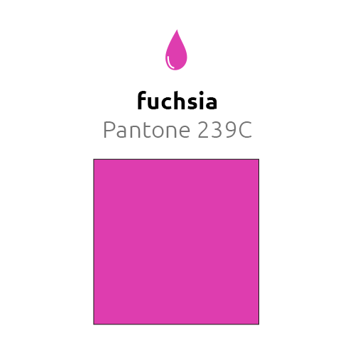 Fuchsia Ballonnen 30cm 10st - Image 2