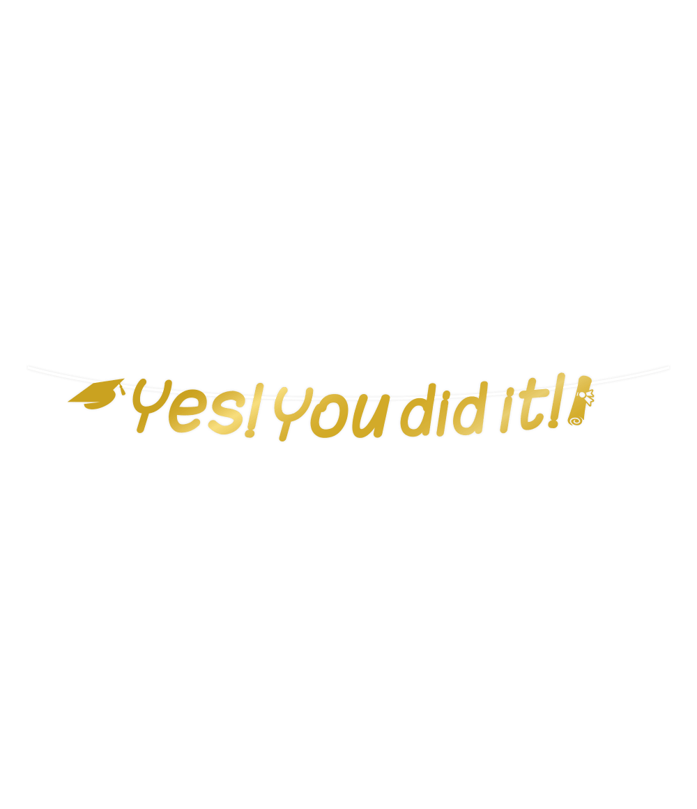Geslaagd Letterslinger Yes You Did It 2,5m - Image 2