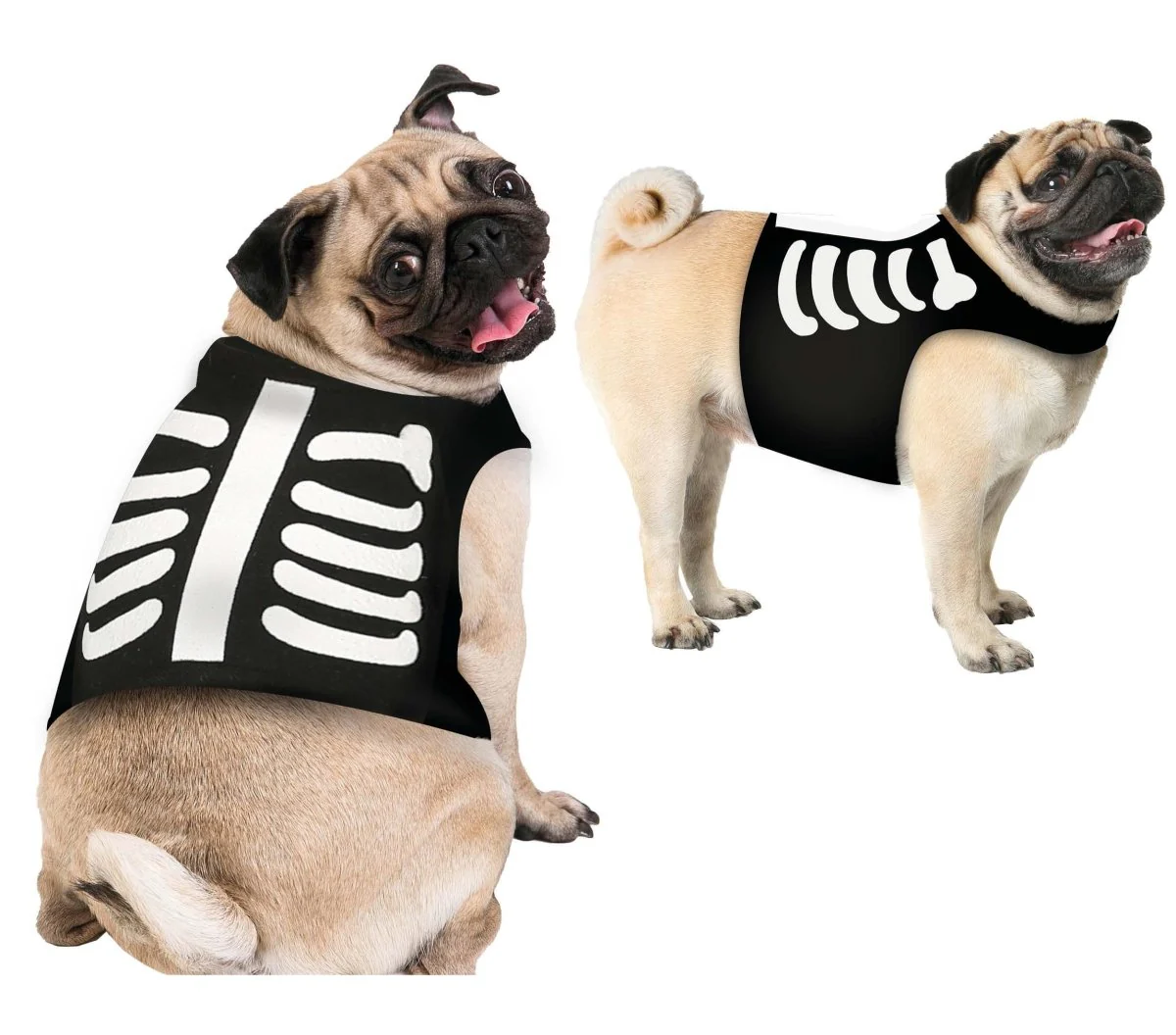 Halloween Dieren Kostuum Skelet