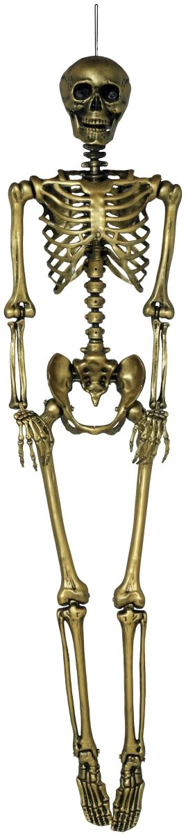 Halloween Goud Skelet 1,6m - Image 3
