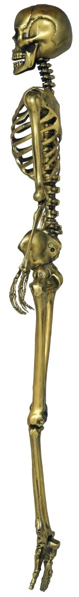 Halloween Goud Skelet 1,6m - Image 4