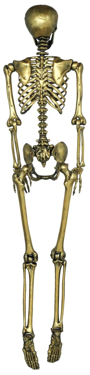 Halloween Goud Skelet 1,6m - Image 5