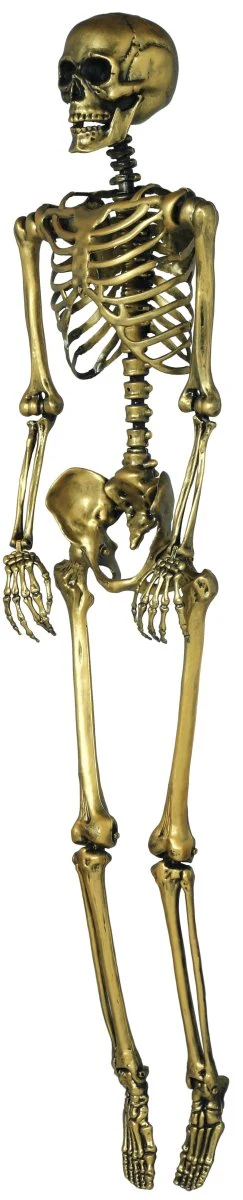 Halloween Goud Skelet 90cm - Image 2