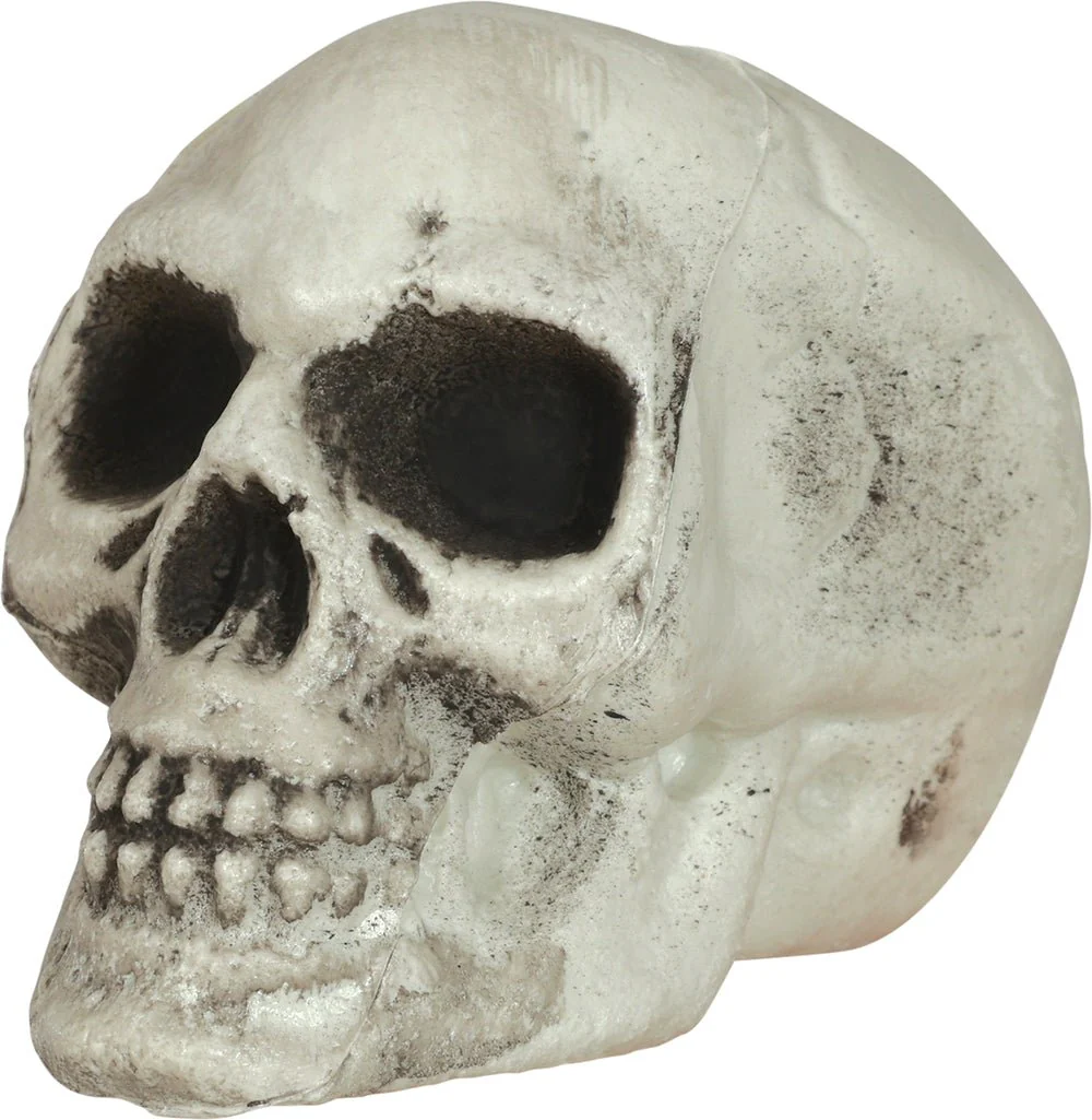 Halloween Schedel 8cm 6st - Image 3