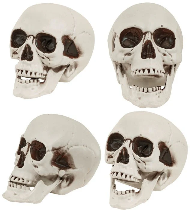 Halloween Schedel Met Beweegbare Kaak 28cm - Image 6