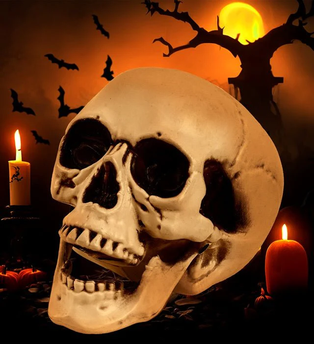 Halloween Schedel Met Beweegbare Kaak 28cm - Image 7