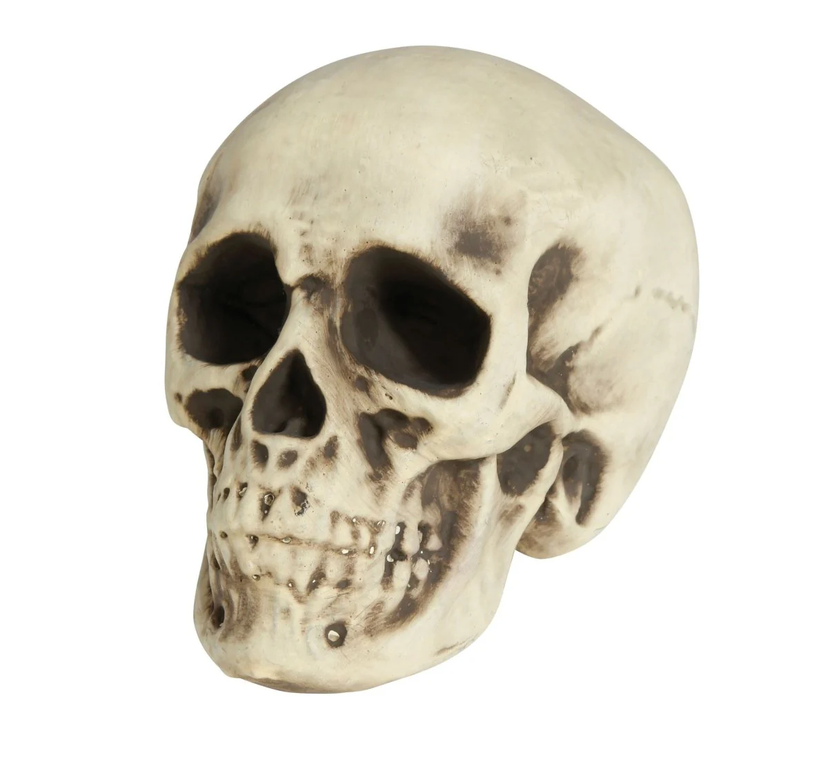 Halloween Schedel Wit Schuim 20cm