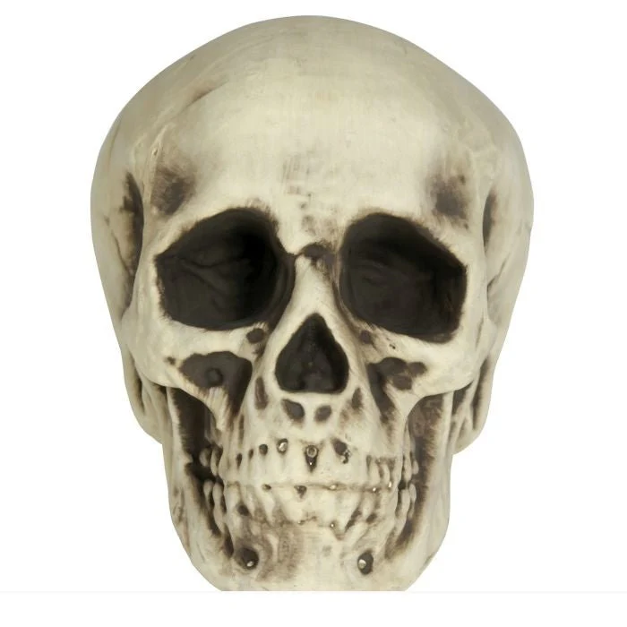 Halloween Schedel Wit Schuim 20cm - Image 2