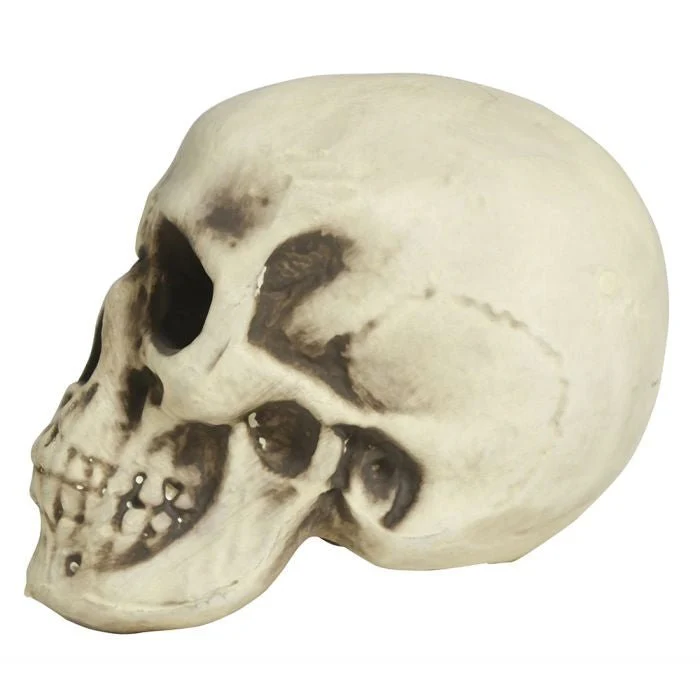 Halloween Schedel Wit Schuim 20cm - Image 3