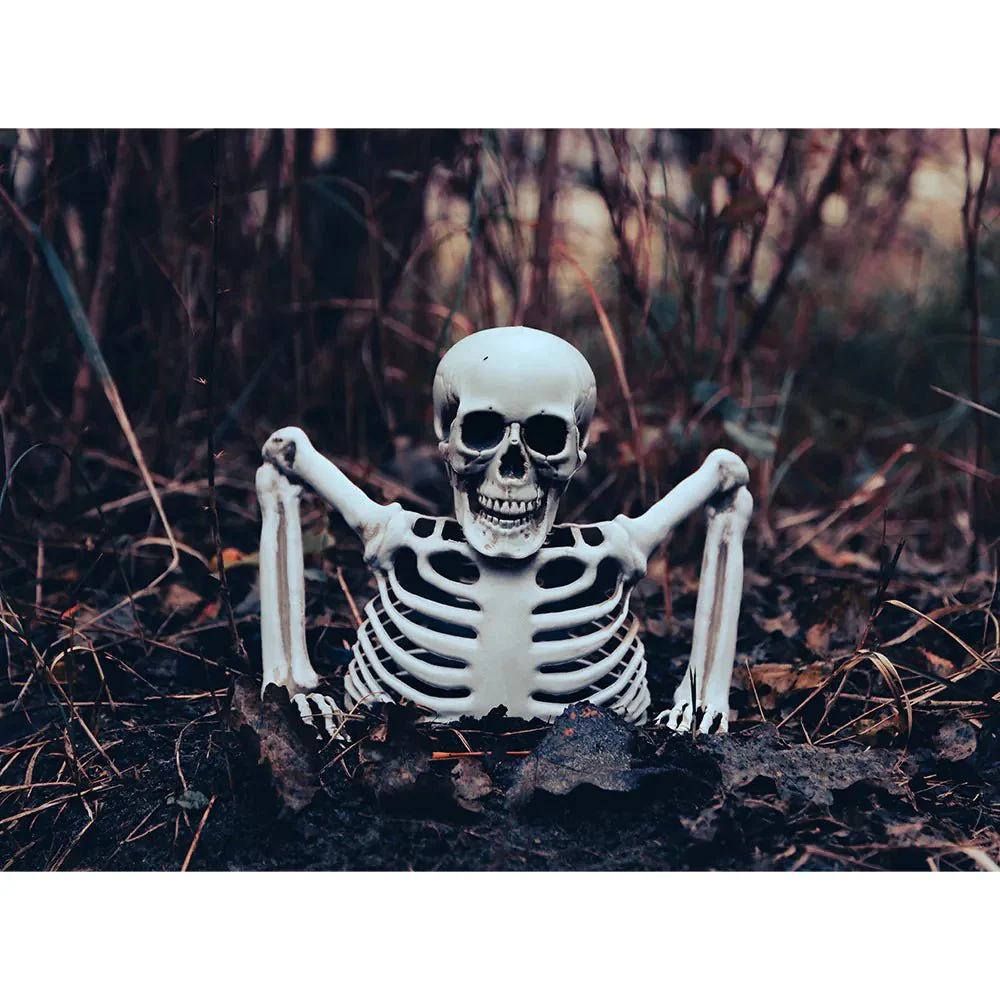 Halloween Skelet 20cm - Image 4