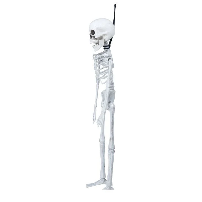 Halloween Skelet 40cm - Image 2