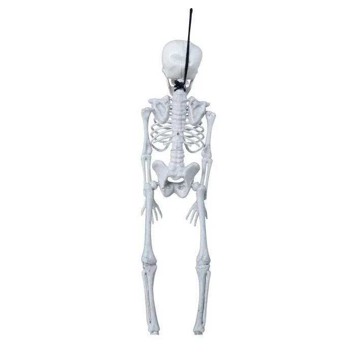 Halloween Skelet 40cm - Image 4