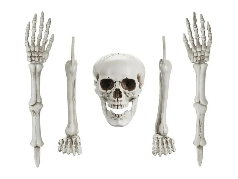 Miniatuur 1