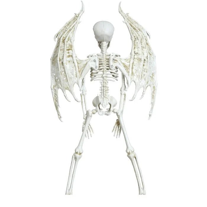 Halloween Skelet Met Vleugels 46cm - Image 4