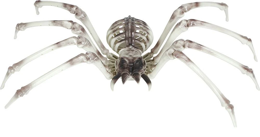 Halloween Skelet Spider 85cm - Image 2