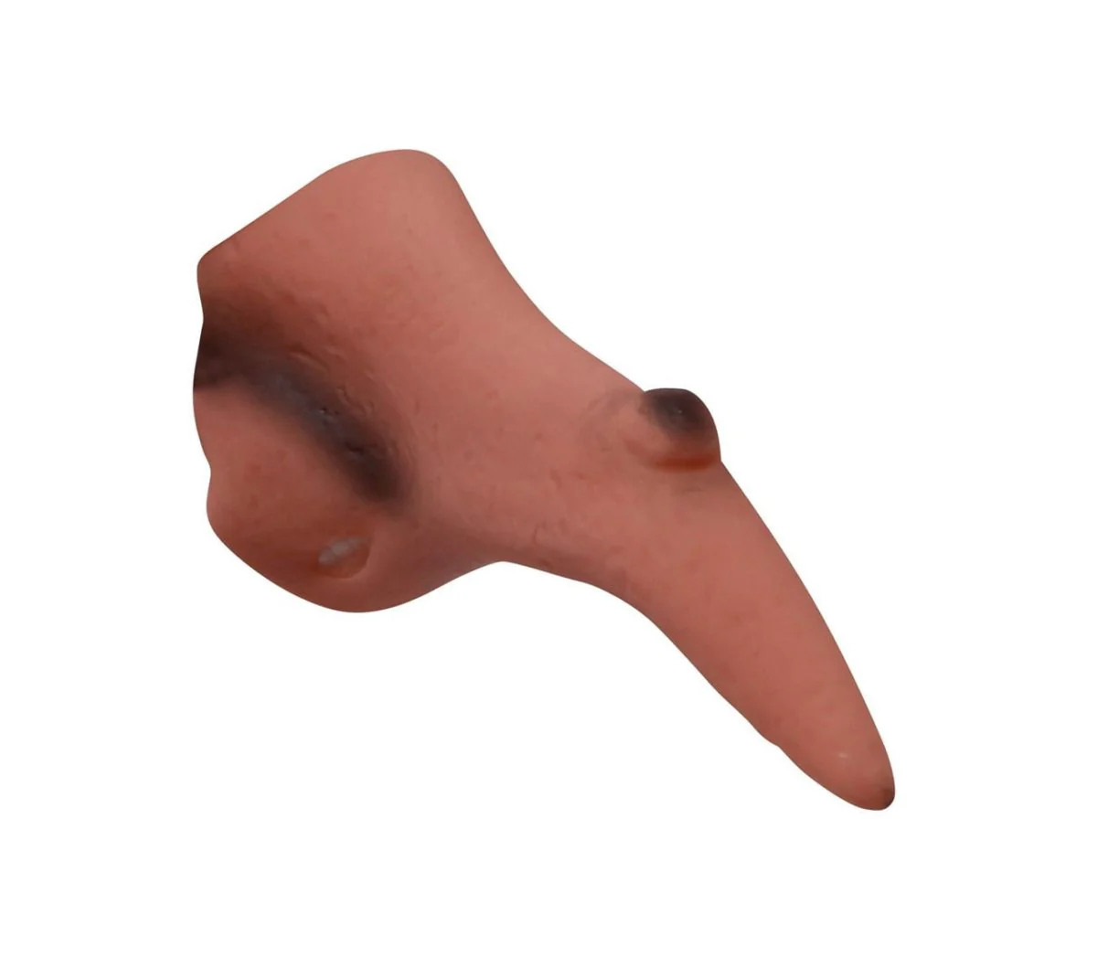 Heksenneus - Image 3