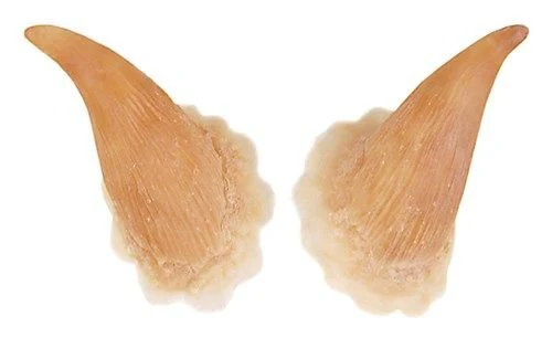 Miniatuur 1