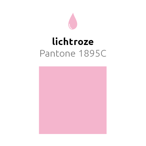 Lichtroze Ballonnen 30cm 10st - Image 2