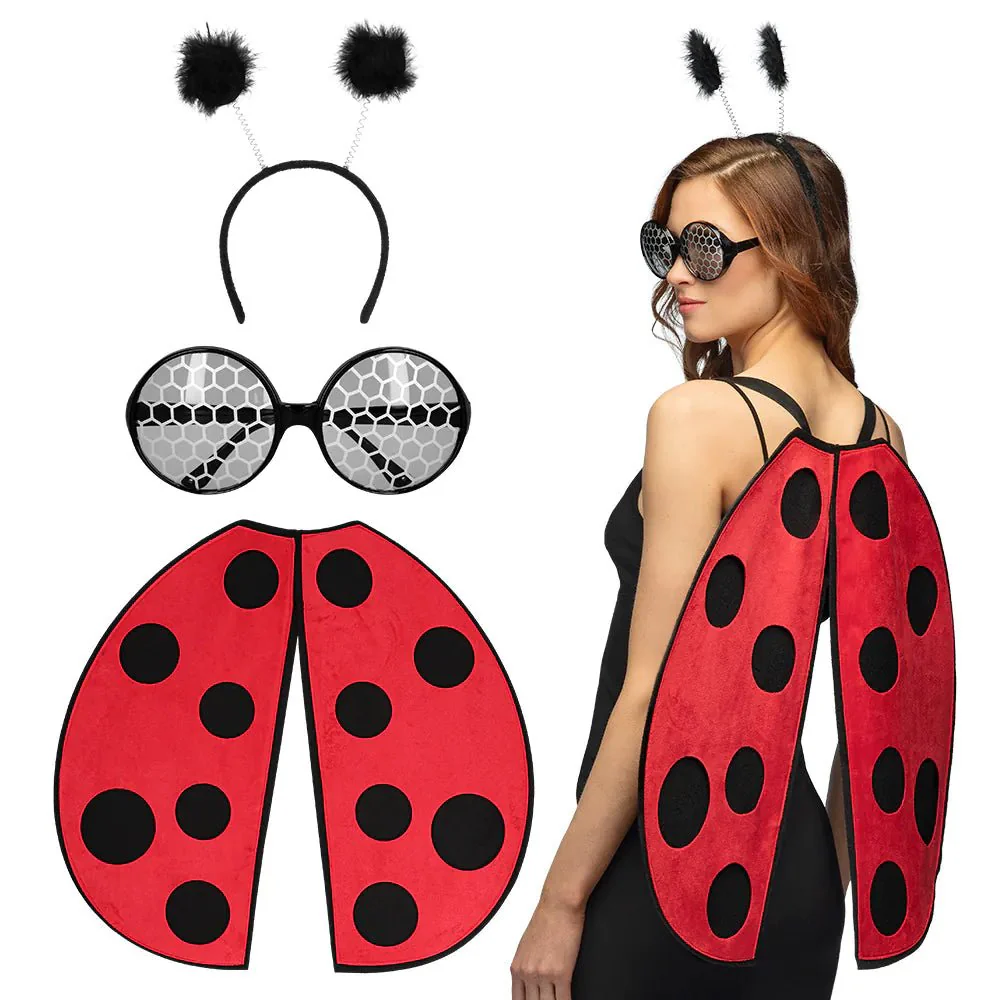 Lieveheersbeestje Accessoireset 3 delig