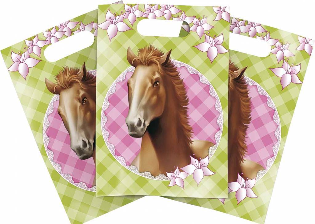 Paarden Uitdeelzakjes Party 6st