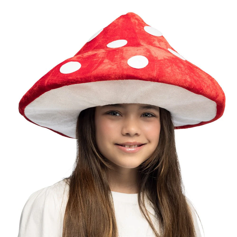 Paddestoel Hoed Rood Wit
