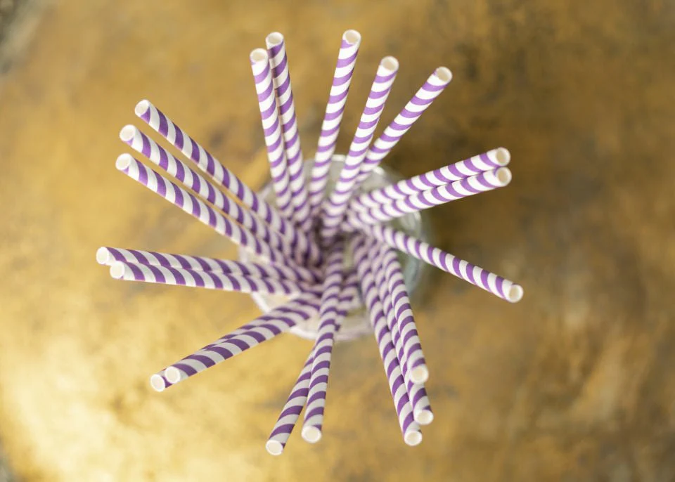 Miniatuur 2
