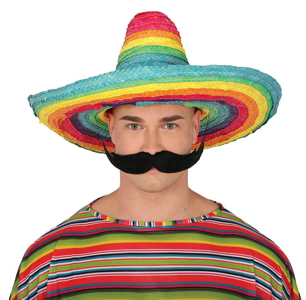 Regenboog Sombrero 50cm - Image 2