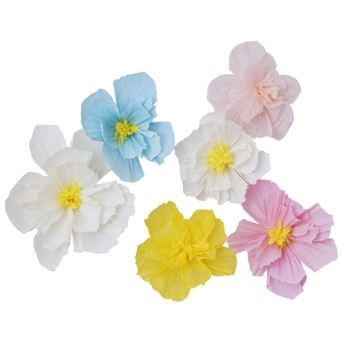 Miniatuur 1