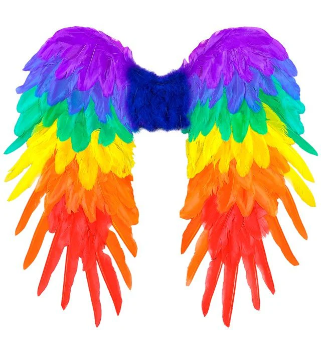 VEREN VLEUGELS REGENBOOG OPVOUWBAAR 50 X 50 CM - Image 4