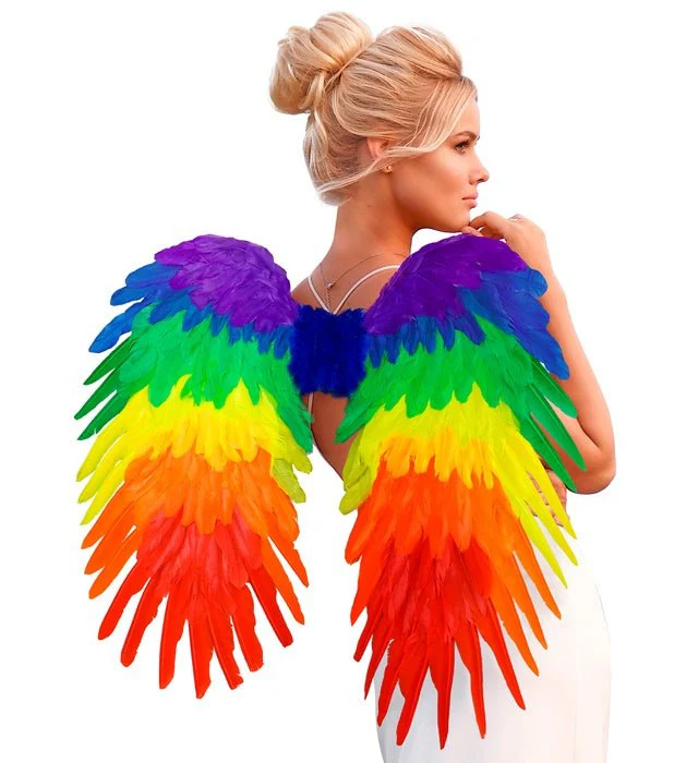 Veren Vleugels Regenboog Opvouwbaar 80X60 cm