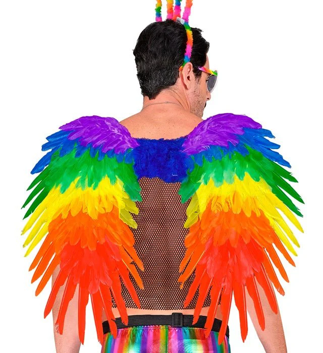Veren Vleugels Regenboog Opvouwbaar 80X60 cm - Image 2