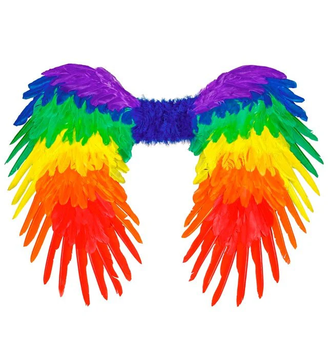 Veren Vleugels Regenboog Opvouwbaar 80X60 cm - Image 3
