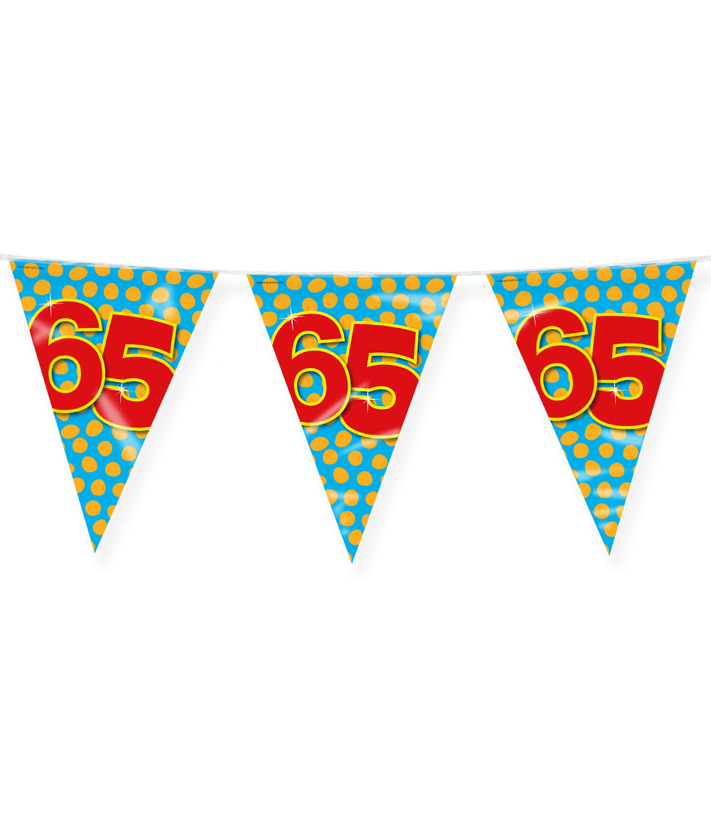 Vlaggenlijn 65 Jaar Gekleurd 10m